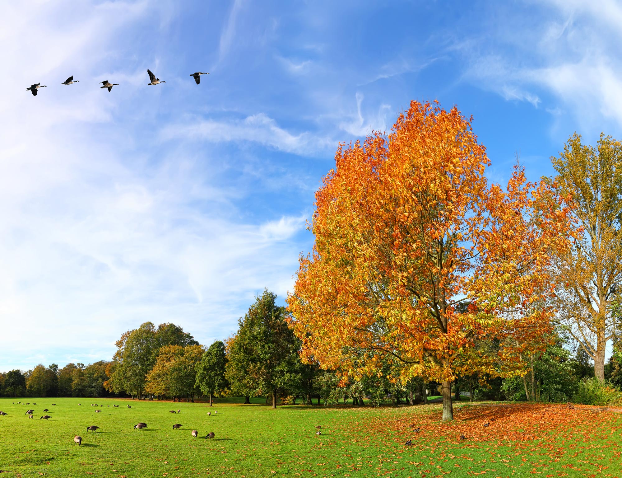 Aki_Startseite_iStock-2160753333.jpg