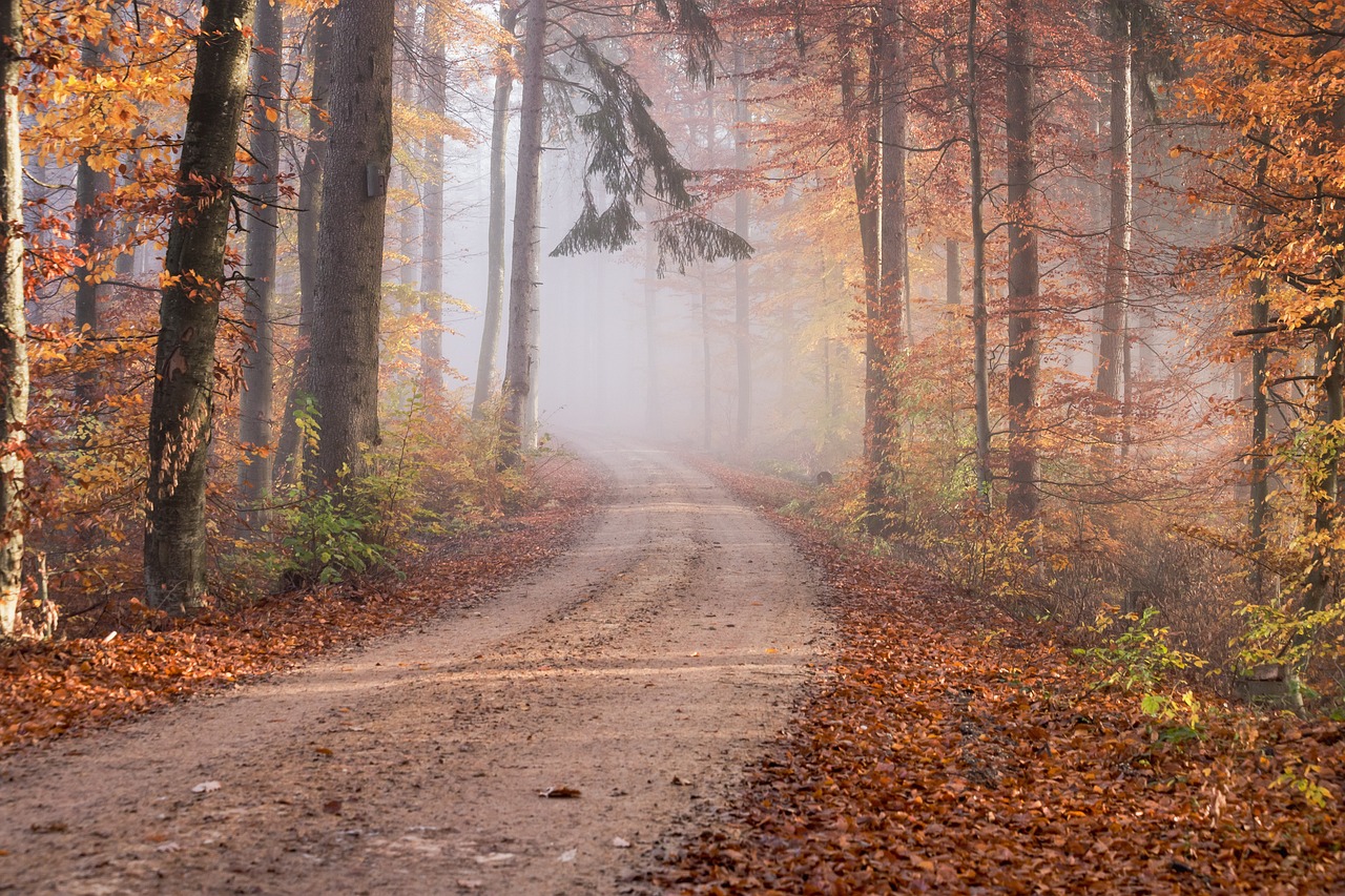 road-g97c380733_1280.jpg